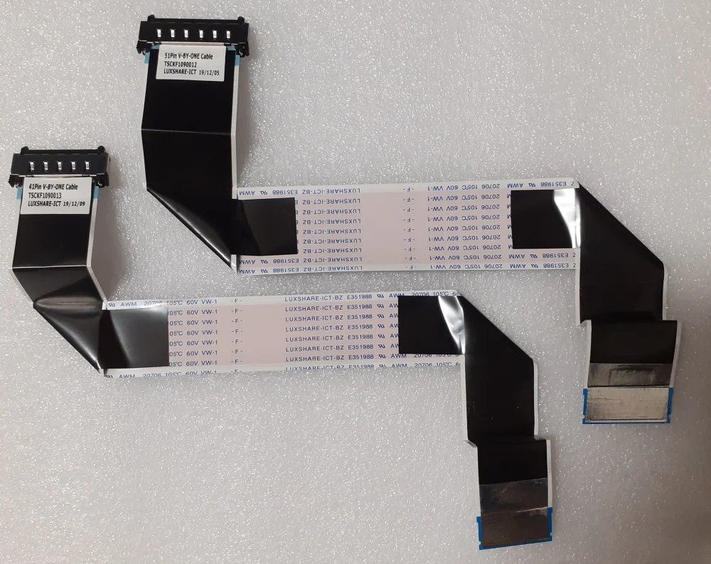 TSCKF1090012 - TSCKF1090013 - Coppia speaker Panasonic TX-55GZ950E TV Modules